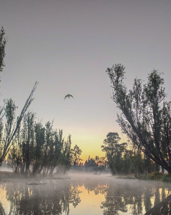 Amanecer en el Lago