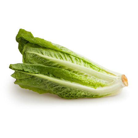 Lechuga orejona (pieza)