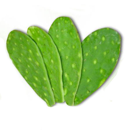 Nopal Grande (Pieza)